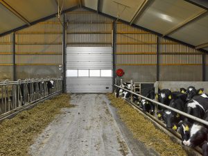 Hofman agriculture gray industrial door with windows interior